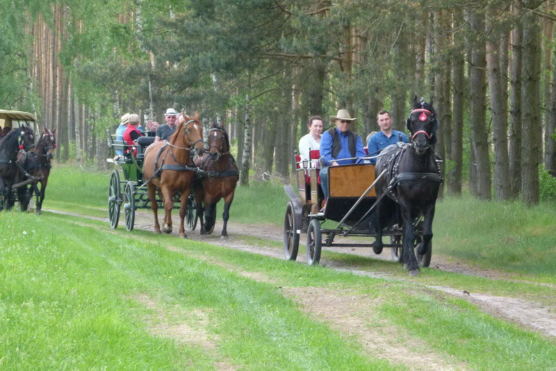 Konna Majówka w Wilkowicach (zdjęcia)