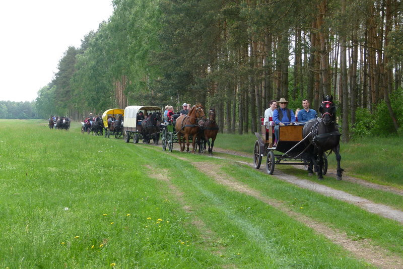Konna Majówka w Wilkowicach (zdjęcia)