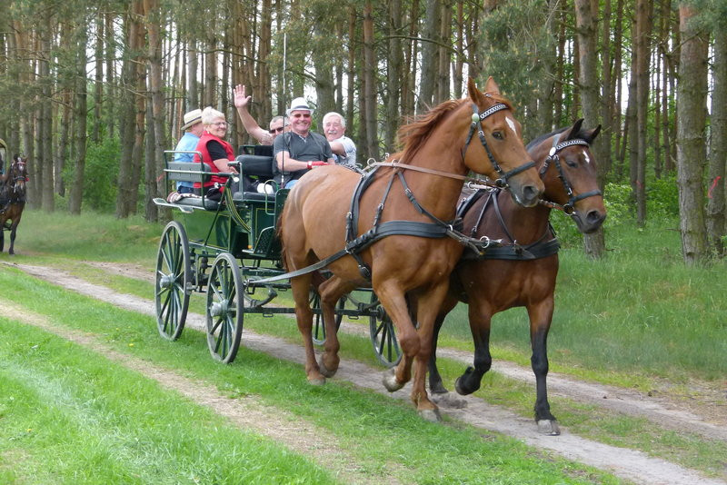 Konna Majówka w Wilkowicach (zdjęcia)