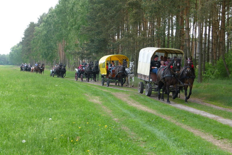 Konna Majówka w Wilkowicach (zdjęcia)