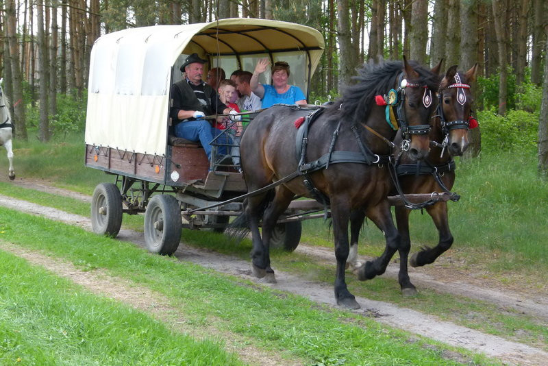 Konna Majówka w Wilkowicach (zdjęcia)