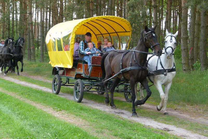 Konna Majówka w Wilkowicach (zdjęcia)