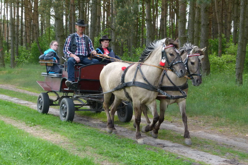 Konna Majówka w Wilkowicach (zdjęcia)
