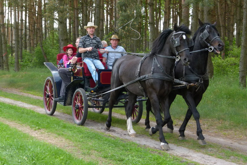 Konna Majówka w Wilkowicach (zdjęcia)