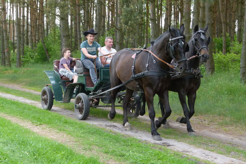 Konna Majówka w Wilkowicach (zdjęcia)