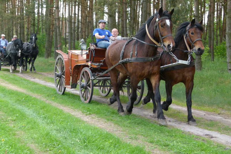 Konna Majówka w Wilkowicach (zdjęcia)