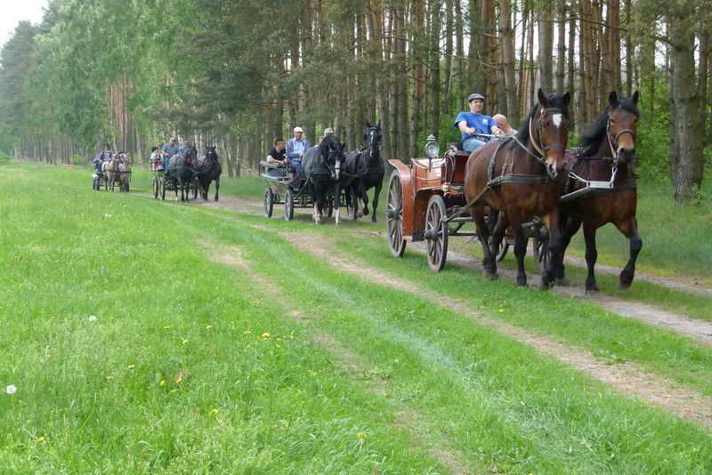 Konna Majówka w Wilkowicach (zdjęcia)