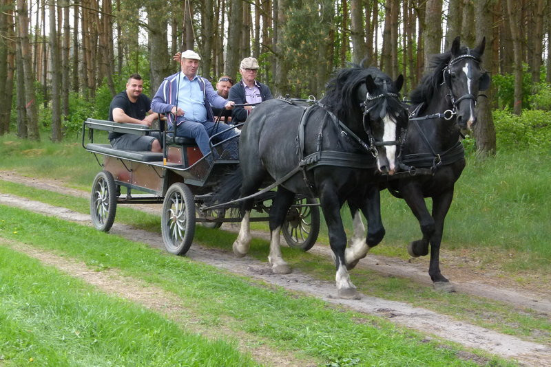 Konna Majówka w Wilkowicach (zdjęcia)