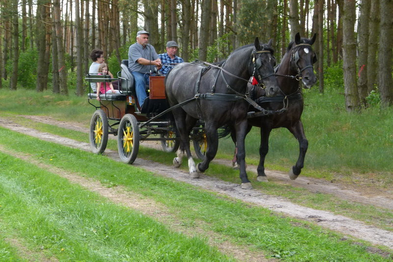 Konna Majówka w Wilkowicach (zdjęcia)