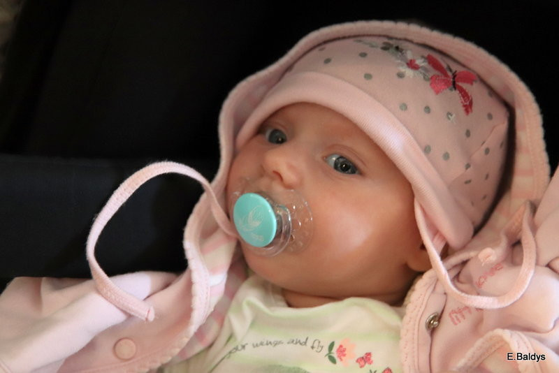 Gala wyjątkowa z kilku powodów (zdjęcia)