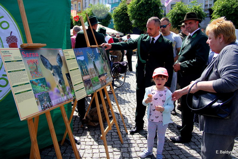 Rynek bigosem pachnący (zdjęcia)