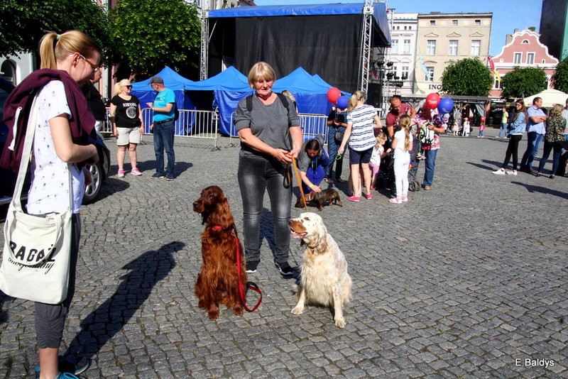 Rynek bigosem pachnący (zdjęcia)