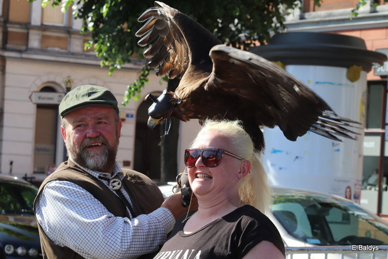 Rynek bigosem pachnący (zdjęcia)