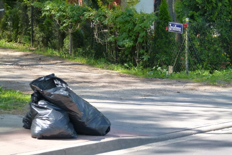Jezioro Dominickie bardziej czyste (zdjęcia)