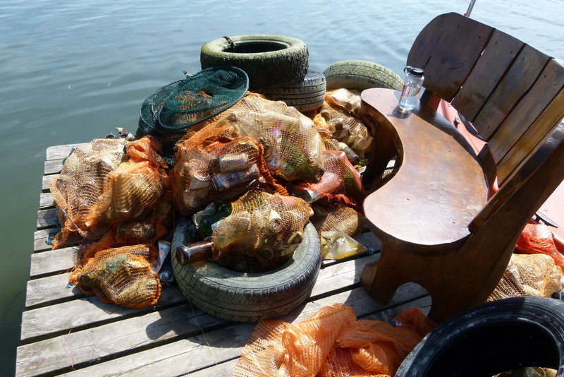 Jezioro Dominickie bardziej czyste (zdjęcia)