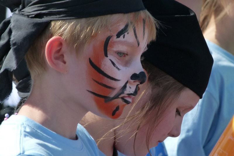 Jezioro Dominickie bardziej czyste (zdjęcia)