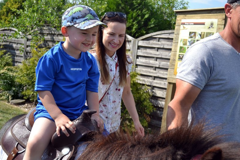 Festyn szkolny w Garzynie (zdjęcia)