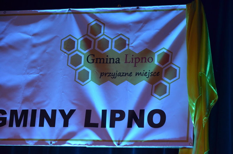 Medale dla zasłużonych, logo dla gminy Lipno (zdjęcia)