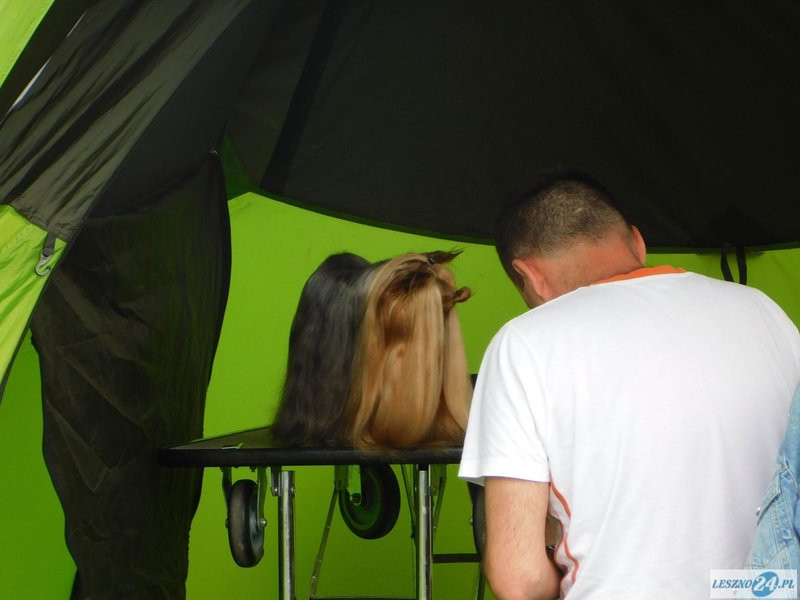 Psie piękności w Lesznie (zdjęcia)