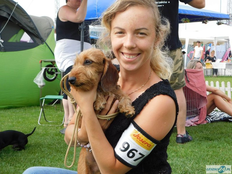 Psie piękności w Lesznie (zdjęcia)