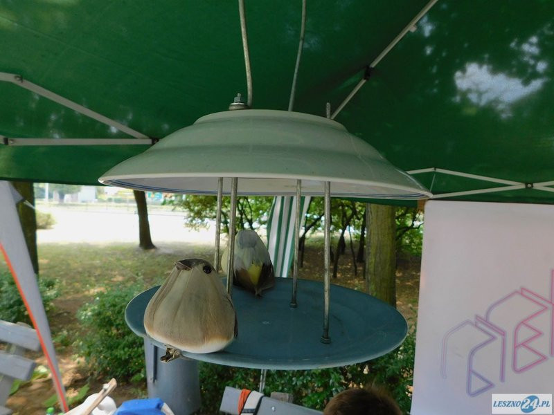 W Parku Jonstona trwa festiwal SAMOSIę (zdjęcia)