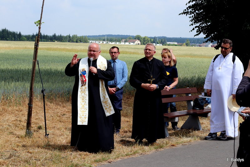 To najpiękniejsza jakubowa droga (zdjęcia)