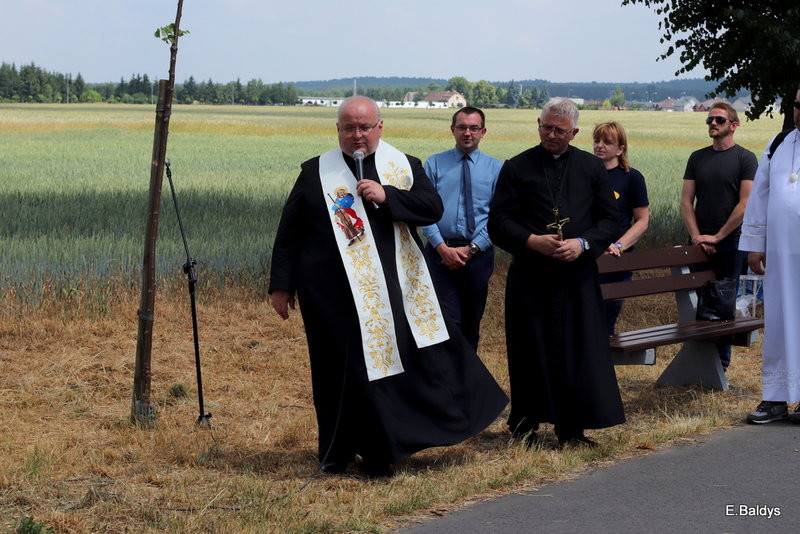 To najpiękniejsza jakubowa droga (zdjęcia)