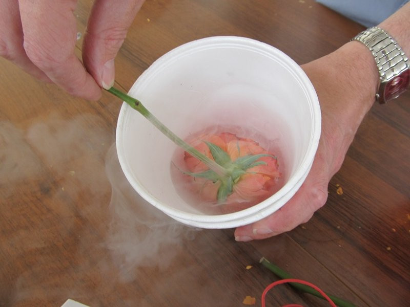 Było wybuchowo! (zdjęcia)