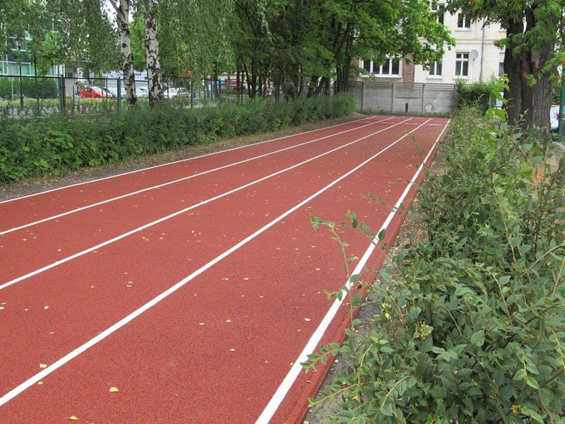 Polacy walczą na mundialu, a I LO ma nowe boiska (zdjęcia)