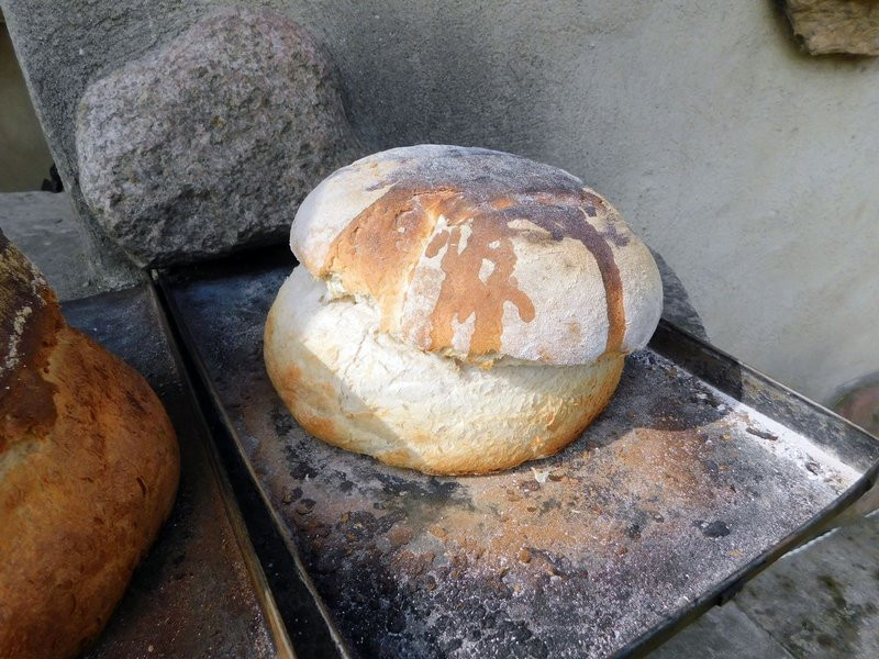 Pyszny miód z miejskiej pasieki (kilka zdjęć)