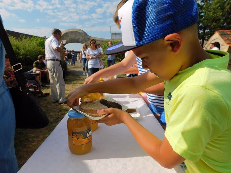 Pyszny miód z miejskiej pasieki (kilka zdjęć)