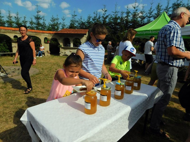 Pyszny miód z miejskiej pasieki (kilka zdjęć)