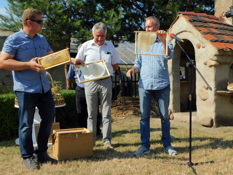 Pyszny miód z miejskiej pasieki (kilka zdjęć)