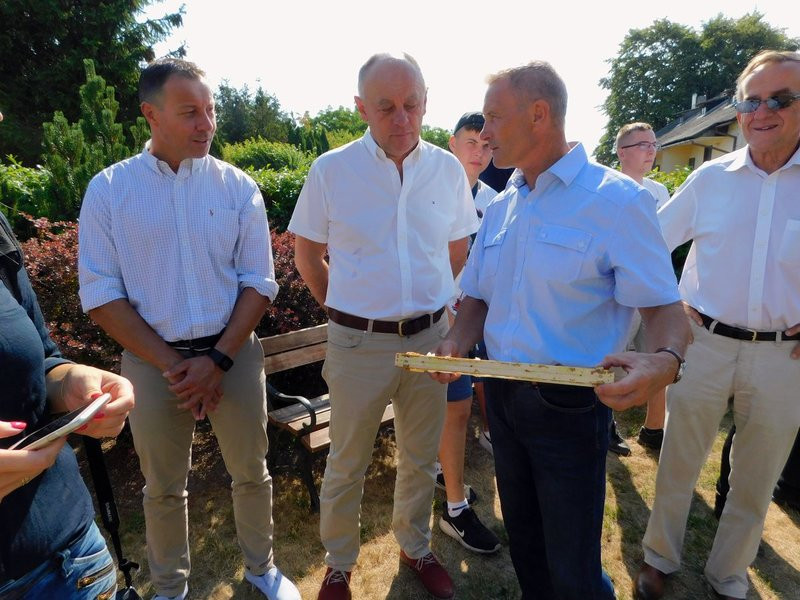 Pyszny miód z miejskiej pasieki (kilka zdjęć)