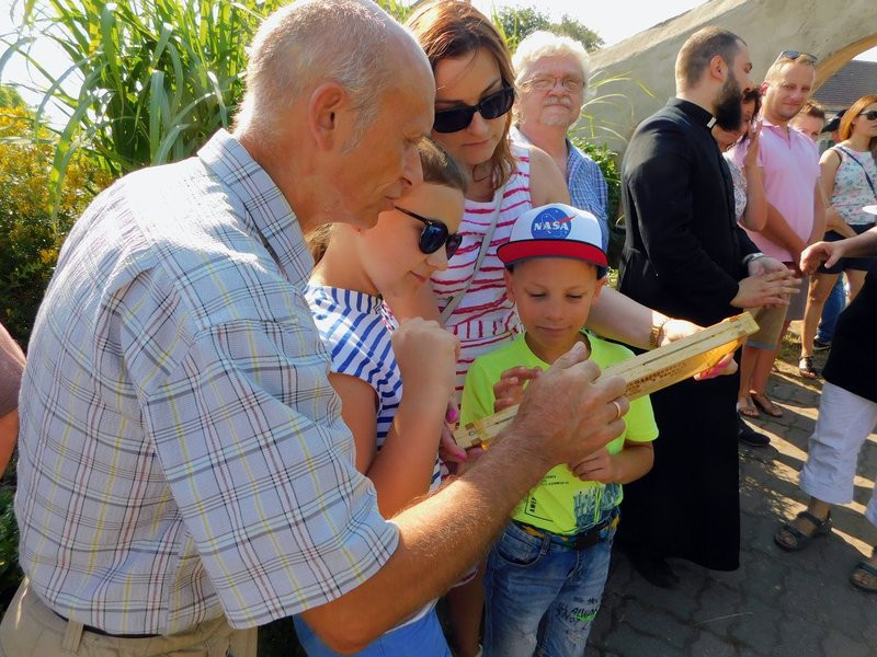 Pyszny miód z miejskiej pasieki (kilka zdjęć)