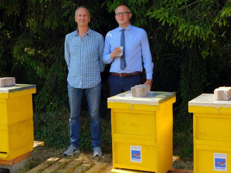 Pyszny miód z miejskiej pasieki (kilka zdjęć)