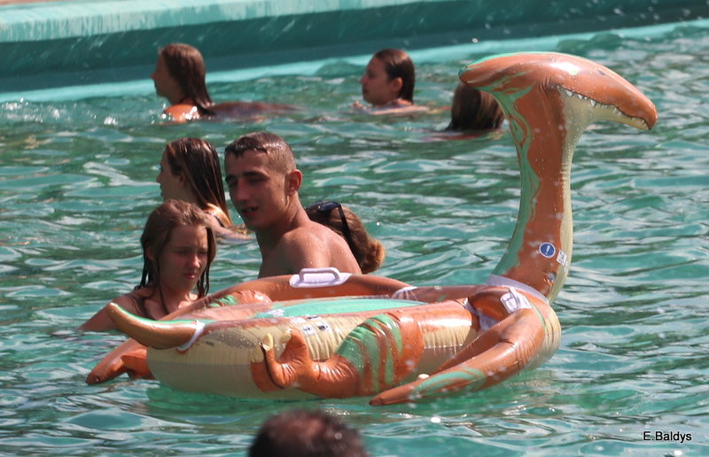 Chłodzili się na basenie (zdjęcia)