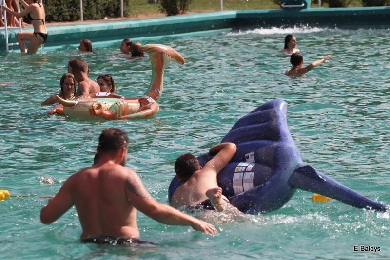 Chłodzili się na basenie (zdjęcia)