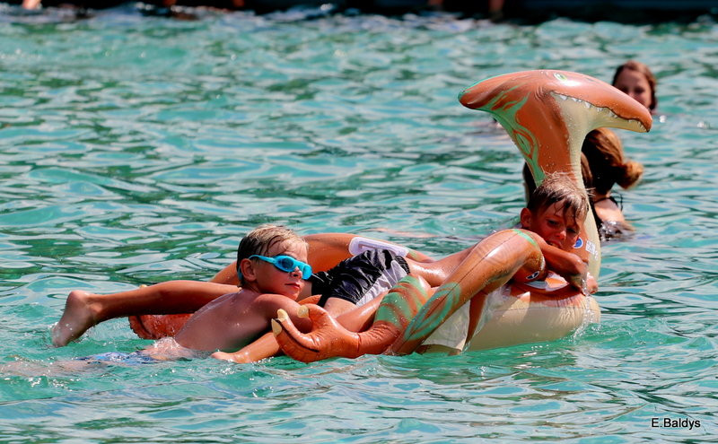 Chłodzili się na basenie (zdjęcia)