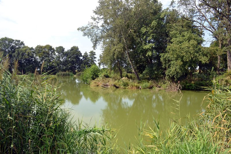 Wędkowali w Pawłowicach (zdjęcia)