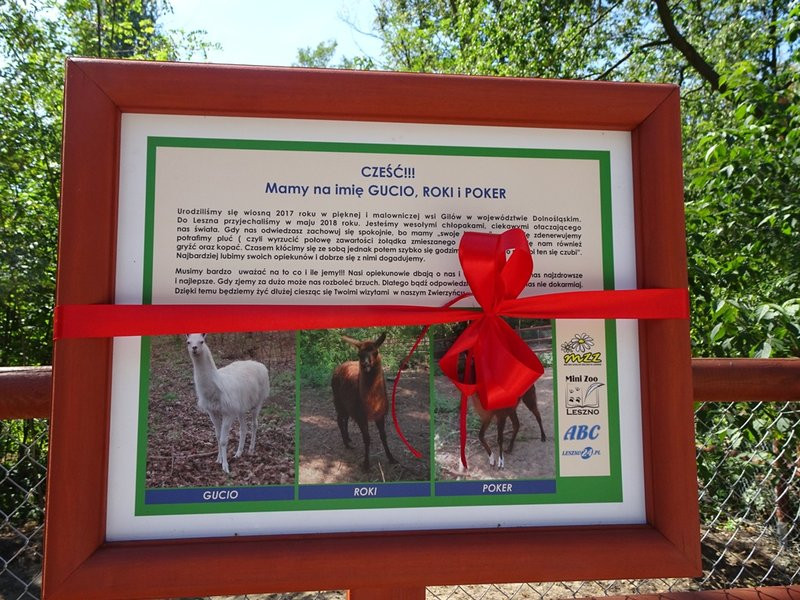 Nagrody przyznane, tablice odsłonięte (zdjęcia)