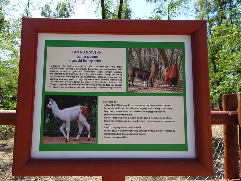 Nagrody przyznane, tablice odsłonięte (zdjęcia)