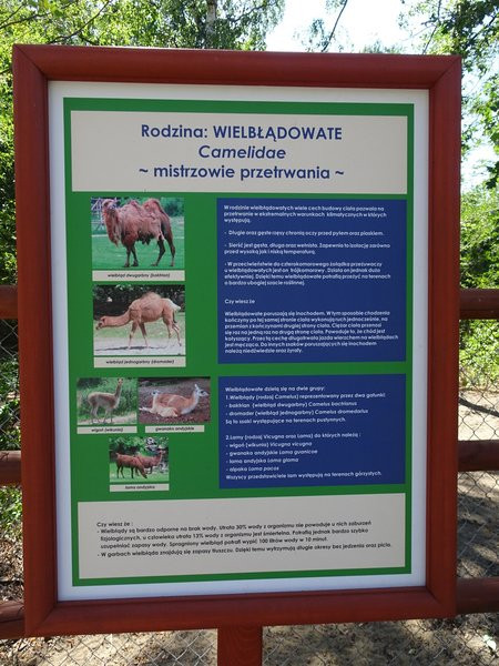 Nagrody przyznane, tablice odsłonięte (zdjęcia)