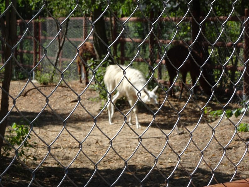 Nagrody przyznane, tablice odsłonięte (zdjęcia)