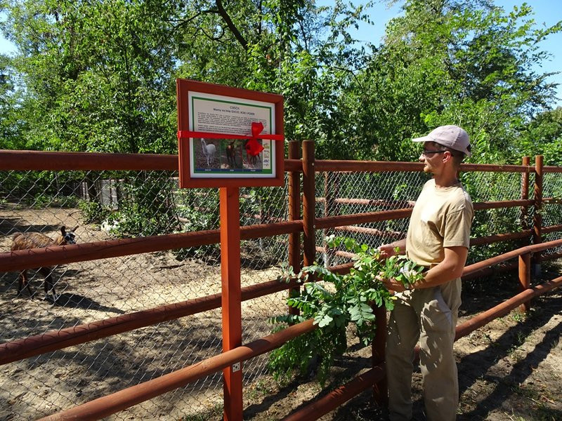 Nagrody przyznane, tablice odsłonięte (zdjęcia)
