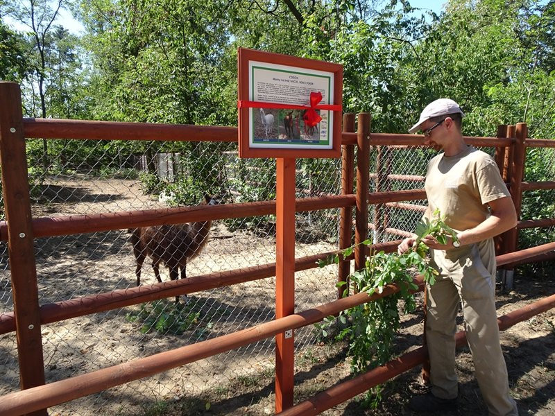 Nagrody przyznane, tablice odsłonięte (zdjęcia)