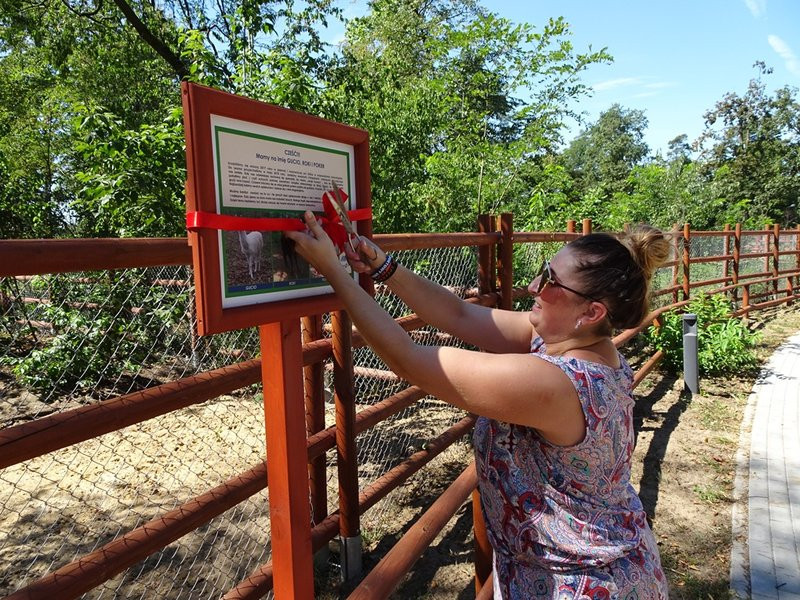 Nagrody przyznane, tablice odsłonięte (zdjęcia)