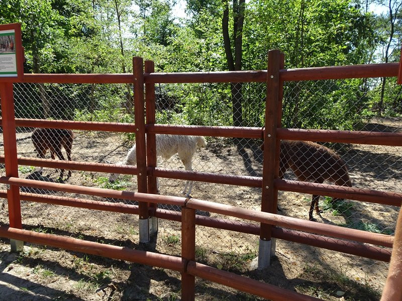 Nagrody przyznane, tablice odsłonięte (zdjęcia)
