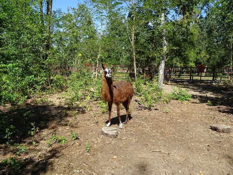 Nagrody przyznane, tablice odsłonięte (zdjęcia)