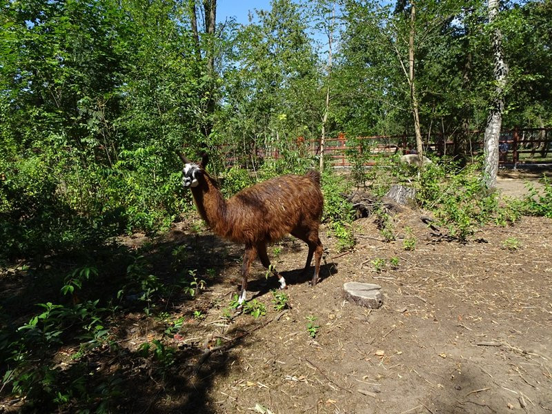 Nagrody przyznane, tablice odsłonięte (zdjęcia)